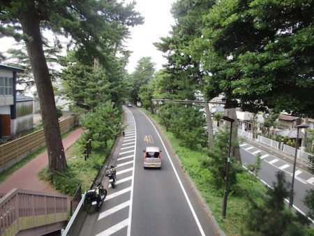 大磯に残る東海道の松並木