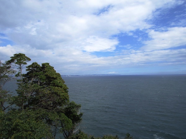 五浦岬の展望台からの眺め
