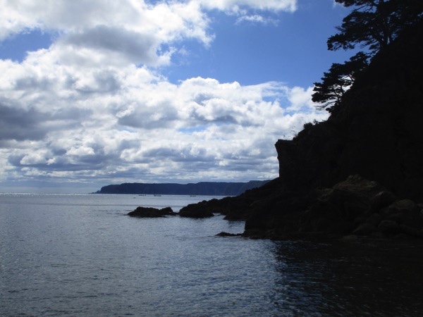 弁天崎から見る鵜の巣断崖
