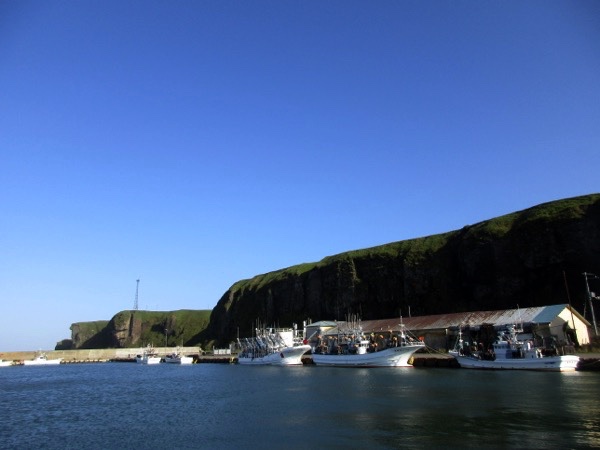 落石漁港から見る落石岬の断崖
