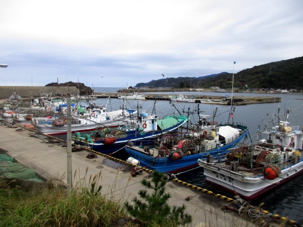 弁天島から見る鼠ヶ関漁港