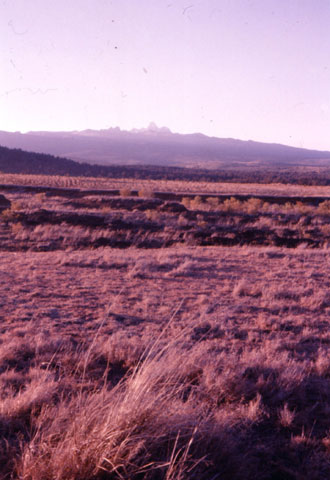 ティマウから見るケニア山
