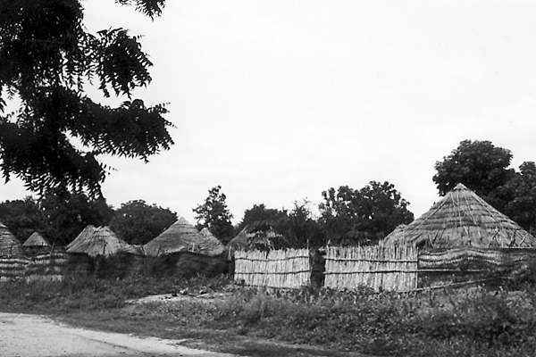 北部カメルーンの村の風景