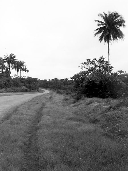 ギニア国境への道