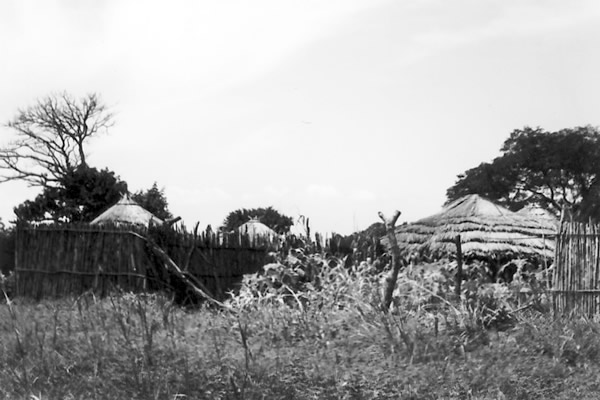 ガンビア川沿いの村の風景