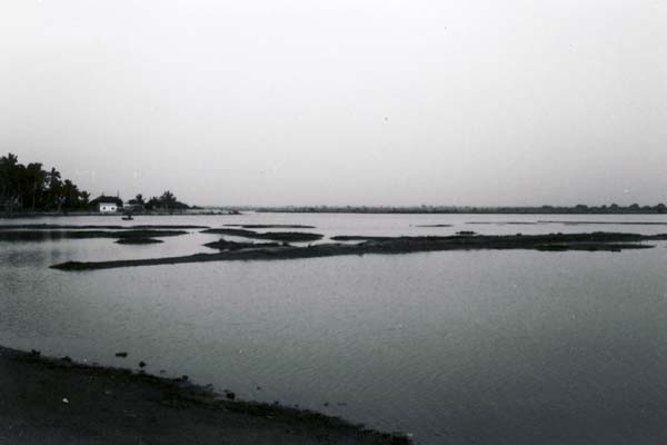 セネガル川河口の風景