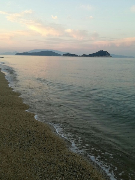 竹居岬の海岸線