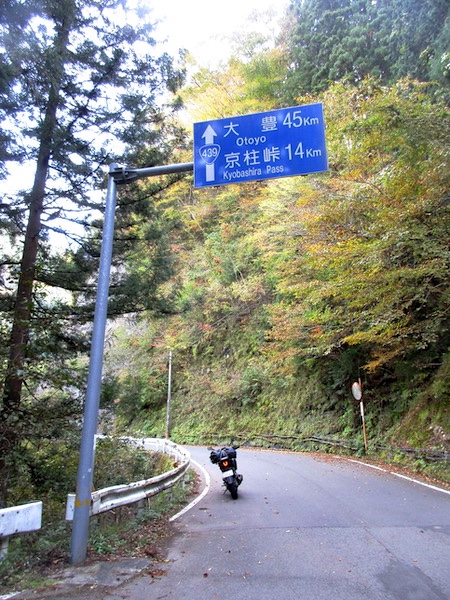 国道439号で徳島・高知県境の京柱峠へ