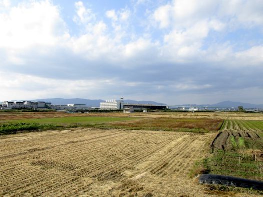国道24号で奈良盆地を北上。生駒山地が見えている