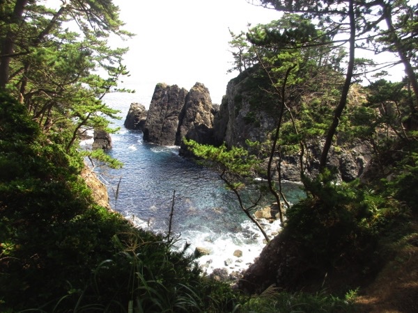 碁石岬の遊歩道から見る断崖